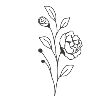 Návrh bez názvu (3)